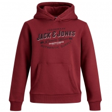 Jack & Jones Hoody Logo